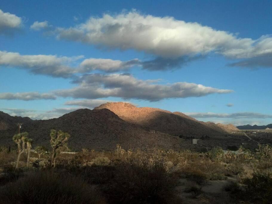 ג'ושואה טרי Steph'S Panorama Paradise-Nat'L Park Minutes Away מראה חיצוני תמונה